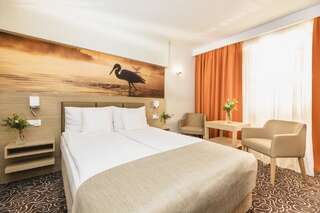 Отель Hotel Amazonka Conference and Spa Цехоцинек Стандартный двухместный номер с 1 кроватью-1